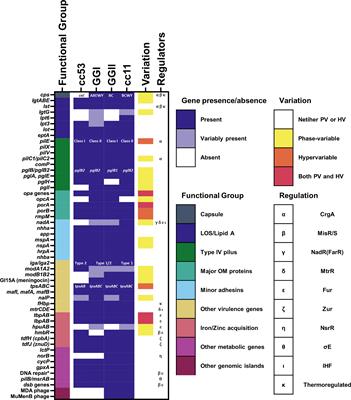 The Host-Pathogen Interactions and Epicellular Lifestyle of Neisseria meningitidis